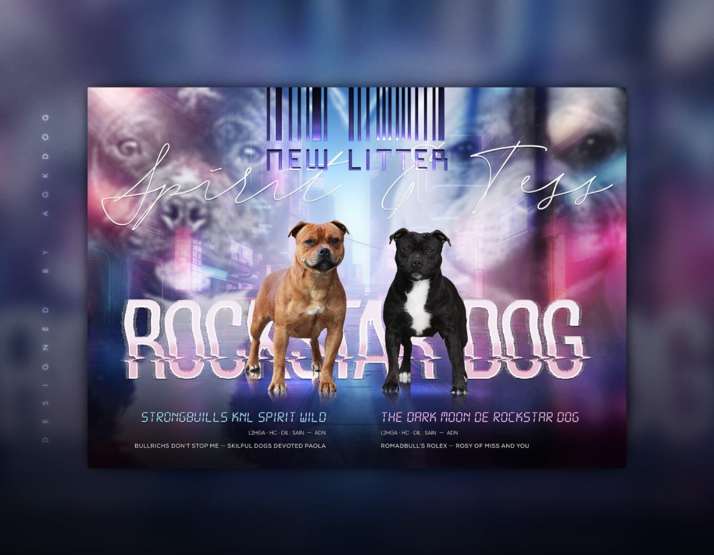 Chiot Staffordshire Bull Terrier De Rockstar Dog